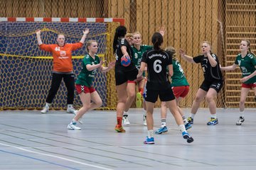 Bild 201 - Damen HSG Kremperheide/M�nsterdorf - Suchsdorfer SV : Ergebnis: 39:22